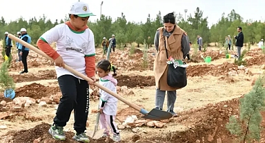 Şanlıurfa'daki ağaçlandırma gününe yoğun ilgi!