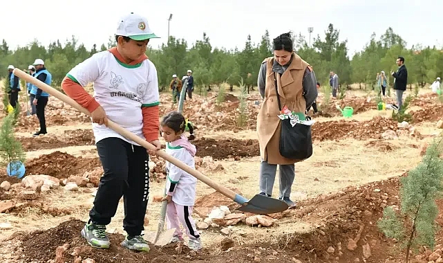 Şanlıurfa'daki ağaçlandırma gününe yoğun ilgi!