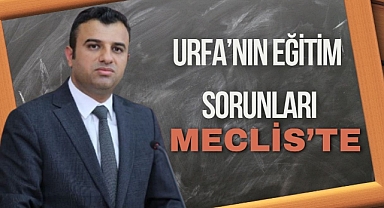 Şanlıurfa'nın Eğitim Sorunları Meclis'te