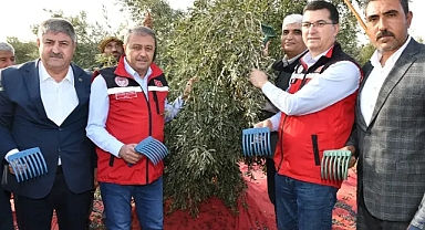 Şanlıurfa Valisi Şıldak, zeytin hasadına katıldı!