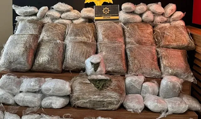 Tam 76 kilo! Şanlıurfa'da ele geçirildi