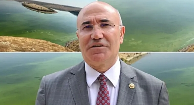 Tanal Atatürk Barajı'ndaki Kirliliğe Dikkat Çekti: