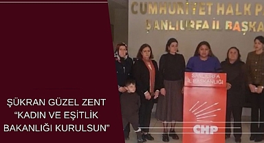 Urfa CHP: Kadına Yönelik Şiddetin Önlenmesi İçin Bu Adımlar Atılmalı!