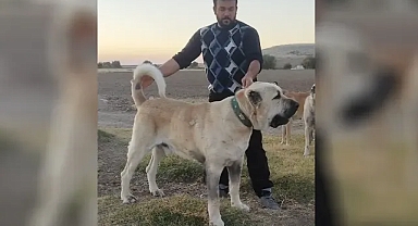 Urfa’da Gureghleri yetiştiriyor! Kılıç destek sözü verenlere sitem etti!