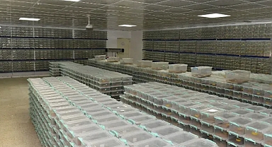 Urfa'dan 'zehir' alıyorlar!