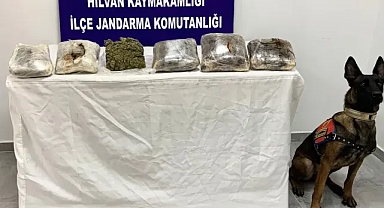 Urfa'nın ilçesinde operasyon!