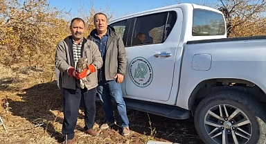Ağaca çarparak yaralanmış! Şanlıurfa'da örnek davranış
