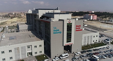 Birecik'te Hayat Kurtaran Operasyon: Boyundaki İğne Çıkarıldı
