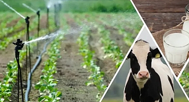 Çiftçiler dikkat! Ödemeler yapılıyor