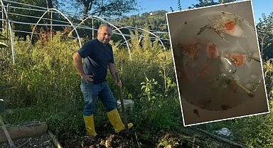 Doğal pestisit! Çolak: Son testi Urfa’da gerçekleştireceğiz!