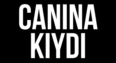 Korkunç olay! Şanlıurfa’da bir genç daha yaşamına kıydı!