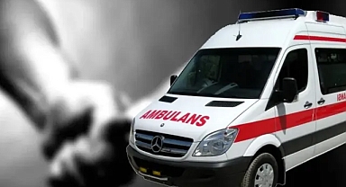 Şanlıurfa'da kan döküldü