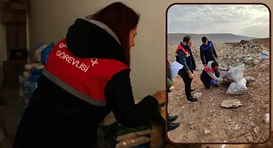 Şanlıurfa'da şoke eden görüntüler! Ceza yağdı