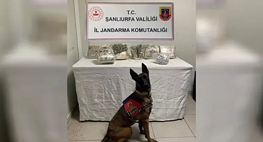 Şanlıurfa’da zehir tacirlerine bir operasyon daha!