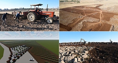 Siverek'te şire bağları ve meyve bahçeleri projesine başlandı