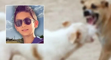 Urfa’da kuduz vakası! 9 yaşındaki çocuk hayatını kaybetti!