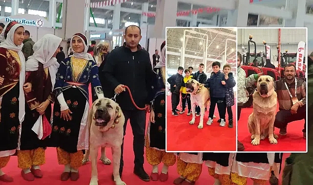Urfa’daki fuarın ilgi odağı oldu!