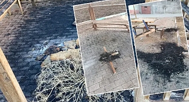 Urfa’daki park ateşe verilip tahrip edildi!