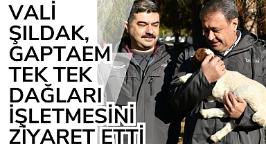 Vali Şıldak, GAPTAEM Tek Tek Dağları İşletmesini Ziyaret Etti