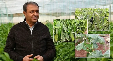 Vali Şıldak müjdeyi verdi! Urfa’da topraksız tarım dönemi başlıyor!