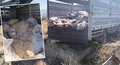 Vatandaşa yedireceklerdi! Urfa’da 3 ton 812 kilo sakatata el konuldu!