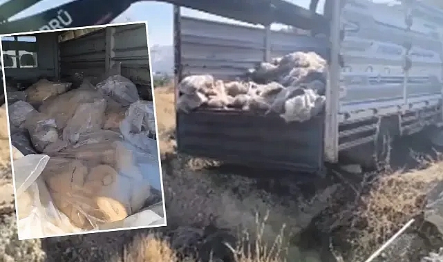Vatandaşa yedireceklerdi! Urfa’da 3 ton 812 kilo sakatata el konuldu!