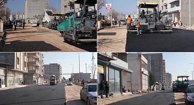 Ziyaret Yolu'nda Asfalt Çalışmaları Başladı