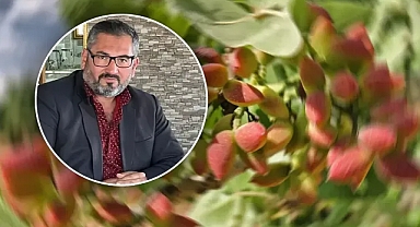 Akbaş, fıstık için destekleme istedi!