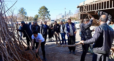 Büyükşehir Belediyesi'nden İpek Böceği Yetiştiriciliğine Dut Ağacı Desteği