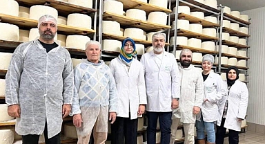 Ceylanpınar'dan Amerika'ya Peynir İhracı
