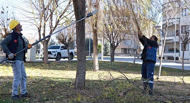 Haliliye'de 203 Park ve Sokaklarda Hummalı Peyzaj Çalışmaları
