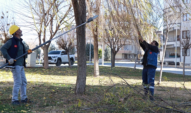 Haliliye'de 203 Park ve Sokaklarda Hummalı Peyzaj Çalışmaları