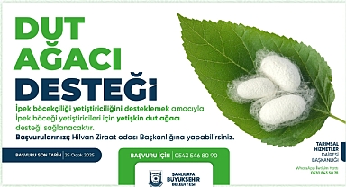 Şanlıurfa Büyükşehir Belediyesi’nden İpek Böceği Yetiştiriciliğine Destek