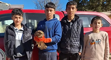 Şanlıurfa'da çocuklar yaralı halde buldu!
