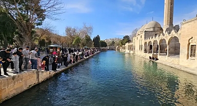 Şanlıurfa'da 'maşallah' dedirten yoğunluk