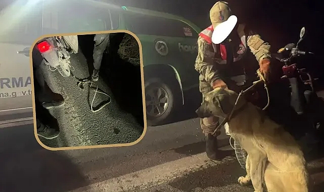 Şanlıurfa'da 'vicdan kalmamış' dedirten olay!