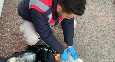 Şanlıurfa’da zehir tacirlerine bir darbe daha! Çok miktarda ele geçirildi!