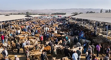 Şap tehlikesi sürüyor! Şanlıurfa’da bir hayvan pazarı daha kapatıldı!