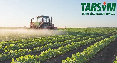 TARSİM açıklaması! Ne kadar ödendi?