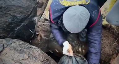 Urfa'da cephane ele geçirildi!