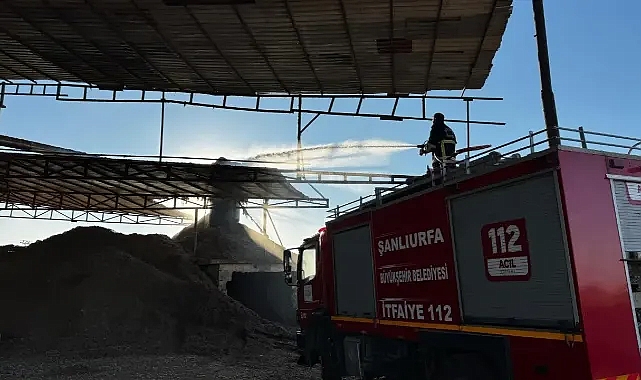 Urfa'da fabrika yangını!