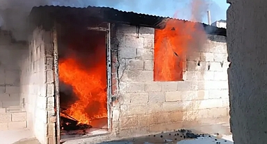 Urfa'da korku dolu anlar!