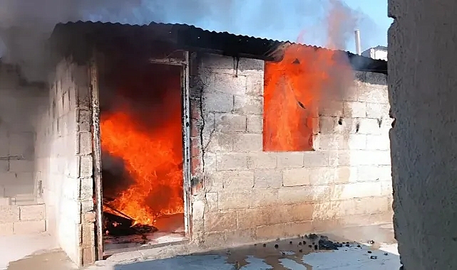 Urfa'da korku dolu anlar!