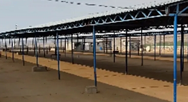 Urfa’da şap hastalığı görüldü! Hayvan pazarı kapatıldı!