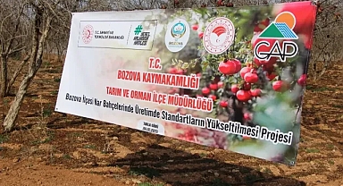 Bozova’da Nar Üreticilerine Destek
