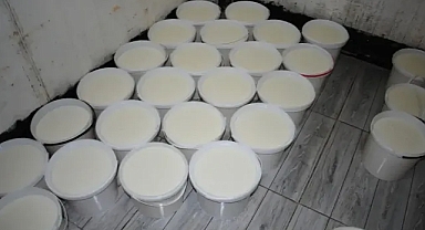 Kova kova ele geçirildi! Urfa'da 'yok artık' dedirten manzara