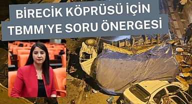 Milletvekili Dilan Kunt Ayan'dan Birecik Köprüsü İçin TBMM'ye Soru Önergesi