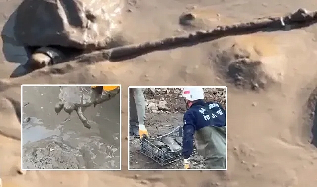 Şanlıurfa’da derede mahsur kaldılar! İtfaiye tarafından kurtarıldılar!