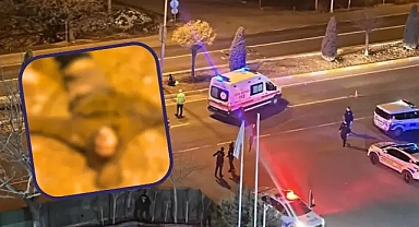 Şanlıurfa'da feci ölüm!