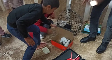 Şanlıurfa'da İtfaiye Ekiplerinden Yavru Kedi Kurtarma Operasyonu